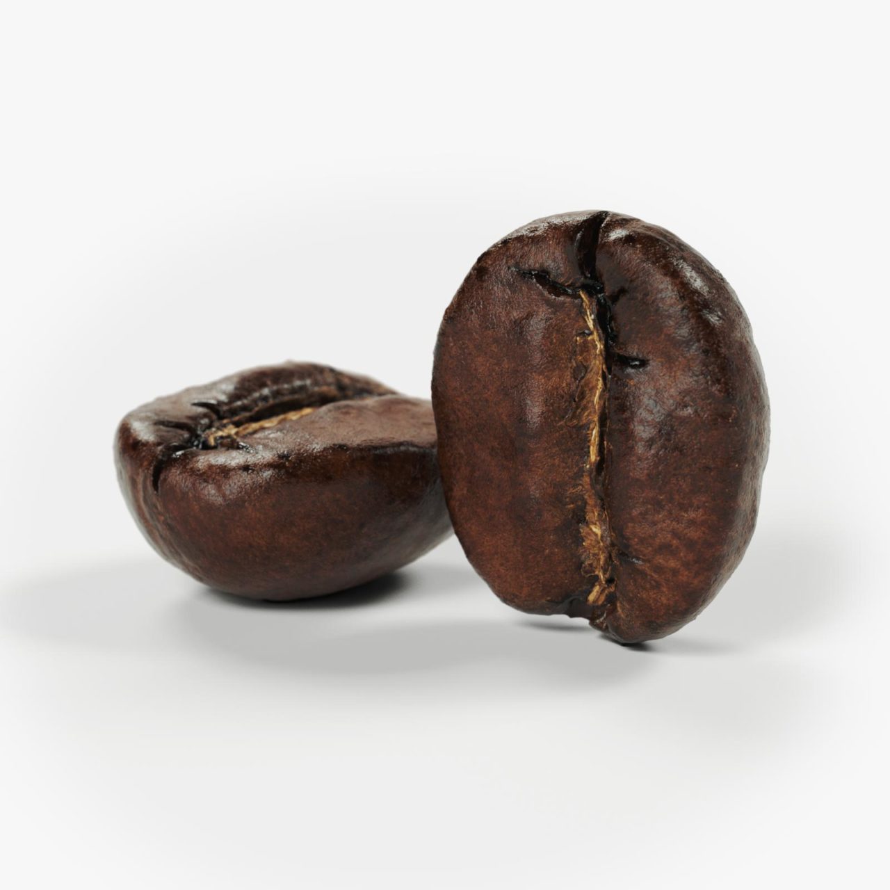 polypasta - coffeebean 02