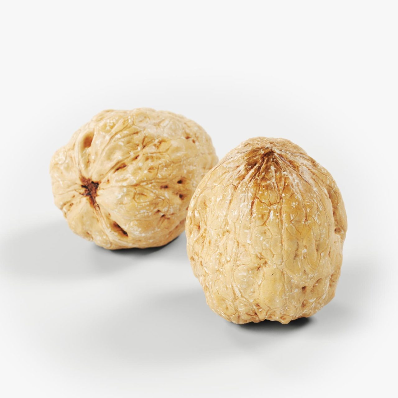 polypasta - walnut 01